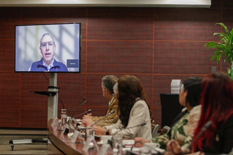 Reunión virtual del Senado