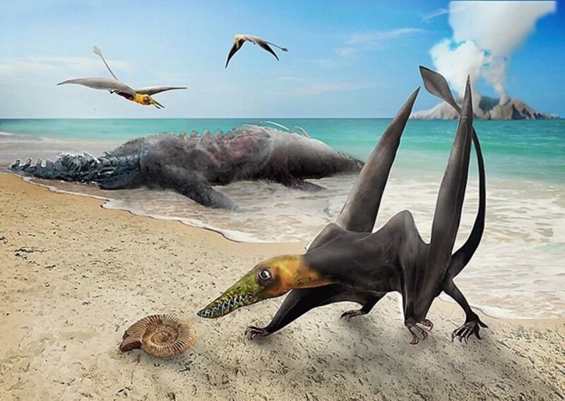 Un pterosaurio gigante camina por la playa