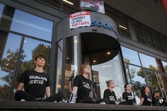 Igualdad Animal: Tras protesta, Sodexo se compromete  a dialogar sobre el fin a las jaulas