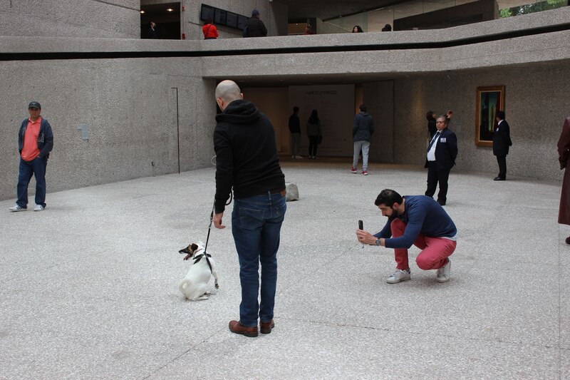 Un hombre le toma una foto a su perro en un museo