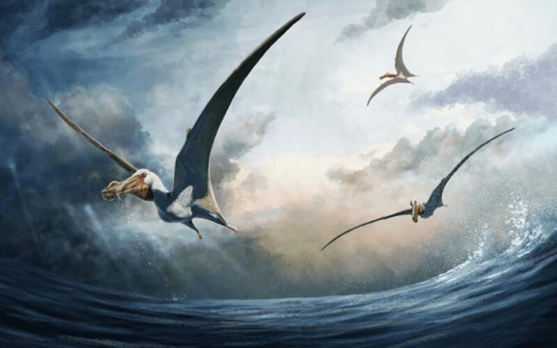 Pterodáctilos volando sobre el mar