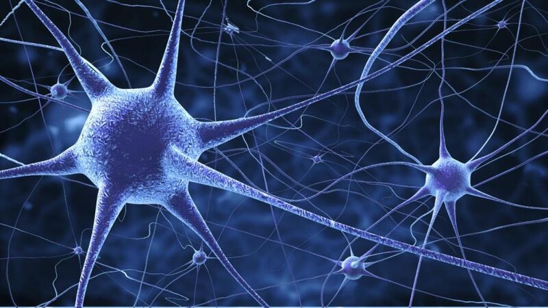 Neuronas, las células del cerebro