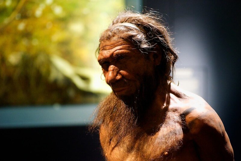 El hombre de Neanderthal