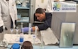 Semiconductores a la mexicana: científicas van más allá del silicio y  diseñan tecnología múltiple uso 