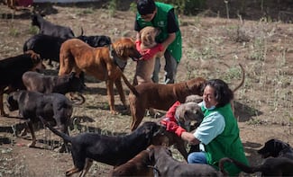 Expiando culpas franciscanas: del linchamiento a la empatía activa