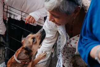 Alertan por golpes de calor en mascotas ante altas temperaturas en Guadalajara