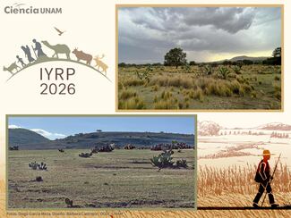 2026, Año Internacional de los Pastizales y los Pastores