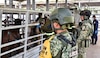 Agricultura reconoce que el Ejercito y la Guardia Nacional han sido claves en las estrategias contra el gusano barrenador 