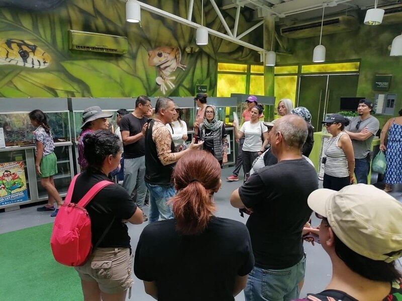 Visita guiada a un serpentario