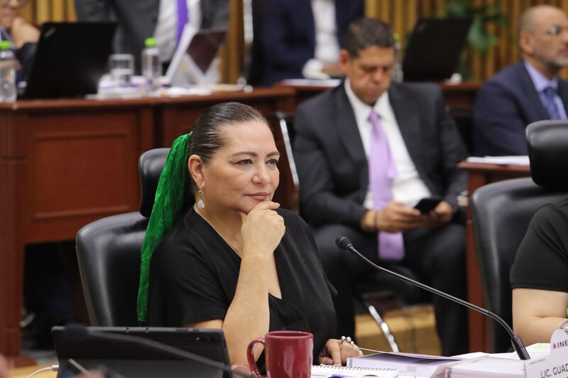 La diputada federal por Morena, Yeidckol Polevnsky, durante una sesión en el Congreso de la Unión.