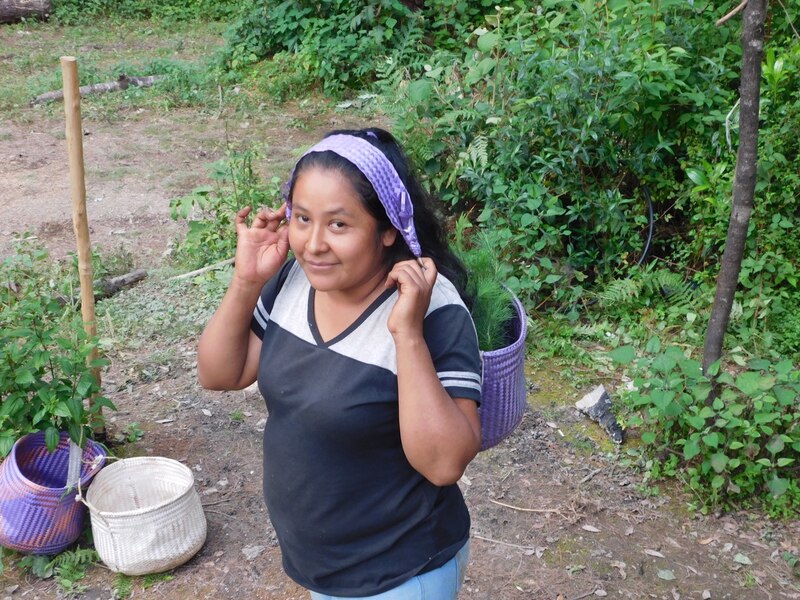 Mujer indígena con cesta de plantas