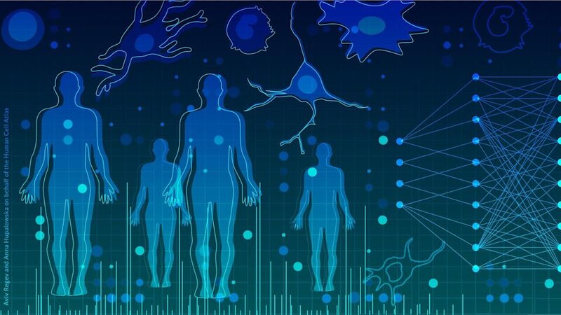 El futuro de la medicina: la inteligencia artificial y la biología sintética