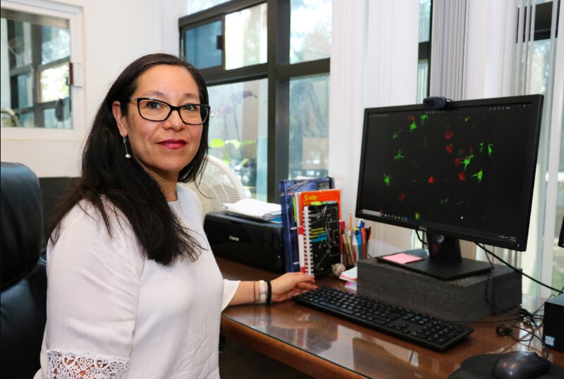 La Dra. Ana María López es una científica que trabaja en el campo de la biología celular. Su investigación se centra en el estudio de las células madre y su potencial para regenerar tejidos dañados.