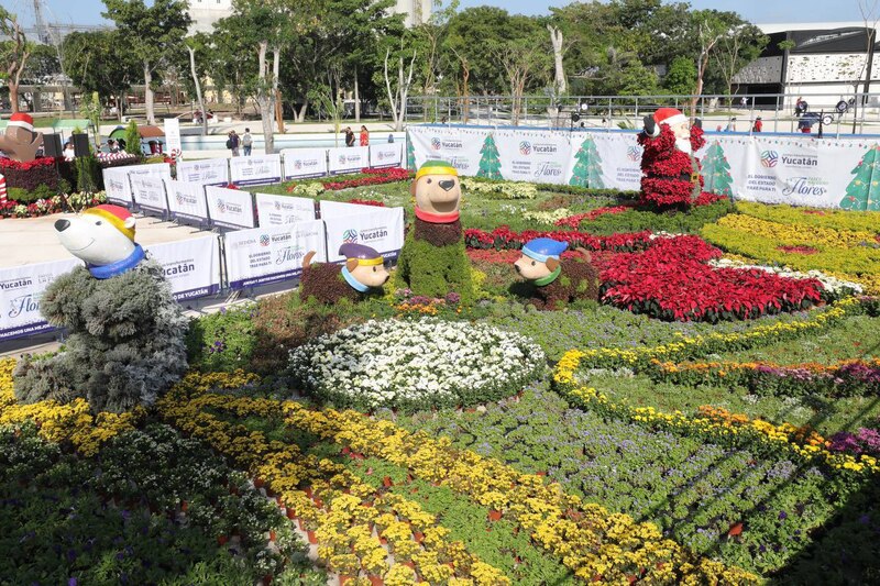 Jardín de flores en Yucatán