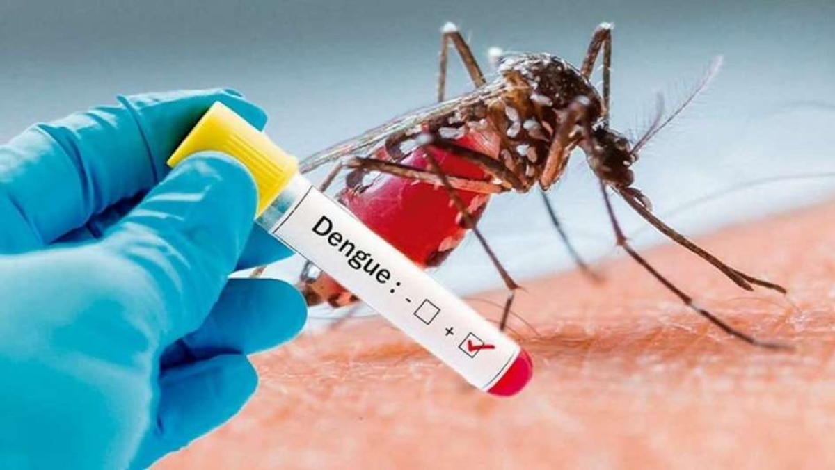 Secretaría de Salud lanza plan anual contra el dengue: busca reducir casos a la mitad en cinco años