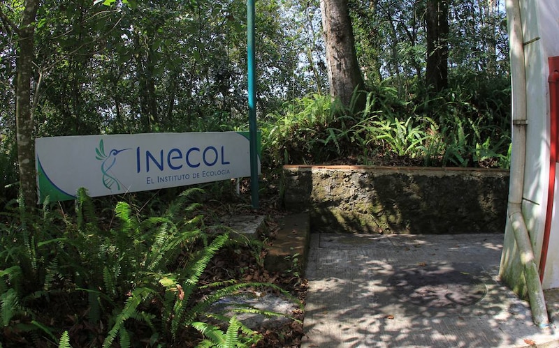 INECOL, El Instituto de Ecología