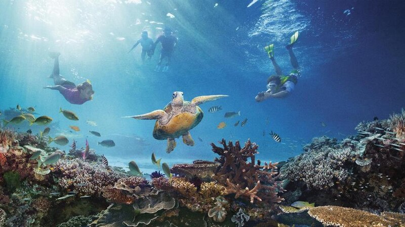 Buceando en la Gran Barrera de Coral