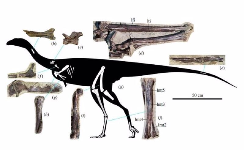 Un nuevo dinosaurio saurópodo titanosauriano del Cretácico Superior de la Patagonia argentina