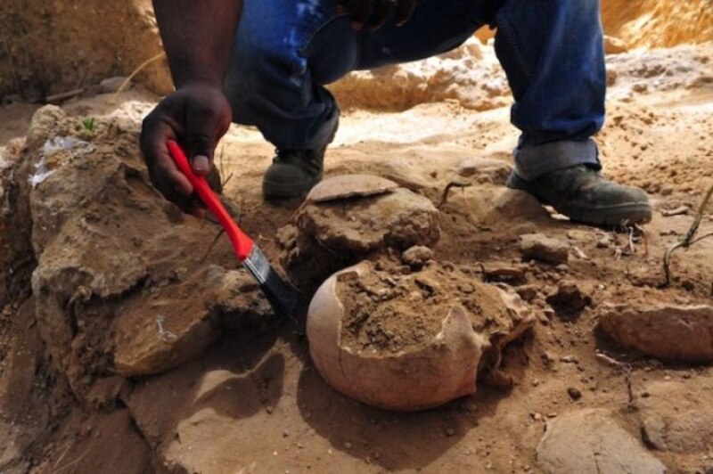 Un arqueólogo desentierra un cráneo humano