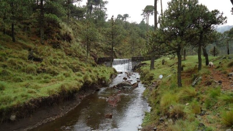 Cascada en el bosque