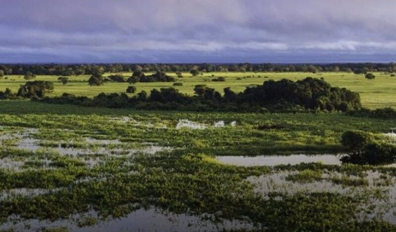 Si bien el hallazgo sugiere que los microbios han estado emitiendo más metano que combustibles fósiles en los últimos años, reducir el consumo de combustibles fósiles sigue siendo clave para abordar el cambio climático