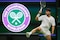 Carlos Alcaraz se prepara para su debut en Wimbledon enfrentando a Fabio Fognini tras un intenso entrenamiento con Alex de Miñaur