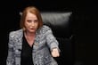 Deslinda Laura Itzel al Senado; transitorio que permite retroactividad “fue coordinado con el Ejecutivo”