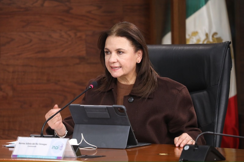 Comisionada Norma Julieta del Río Venegas, quien encabezó la resolución del INAI sobre la transparencia de los aguinaldos de la Secretaría de Bienestar.