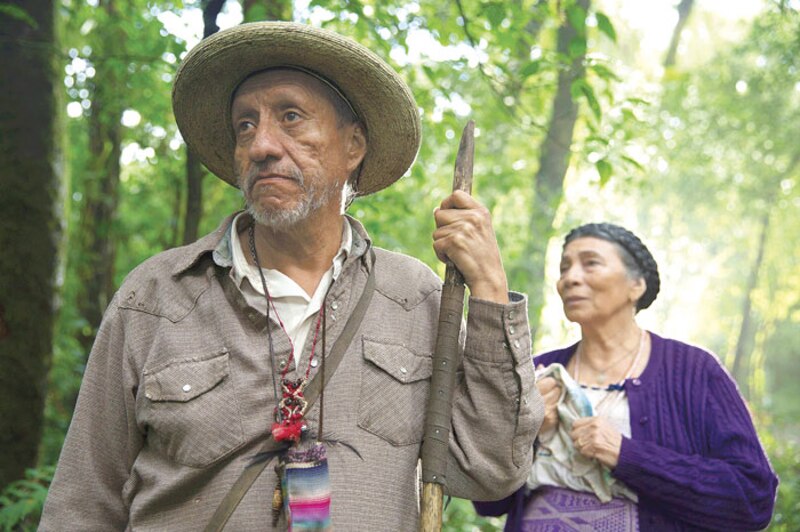 La pareja en el bosque