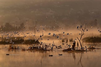 La belleza de la ciencia a través de 58 fotografías en el Paseo de la Reforma