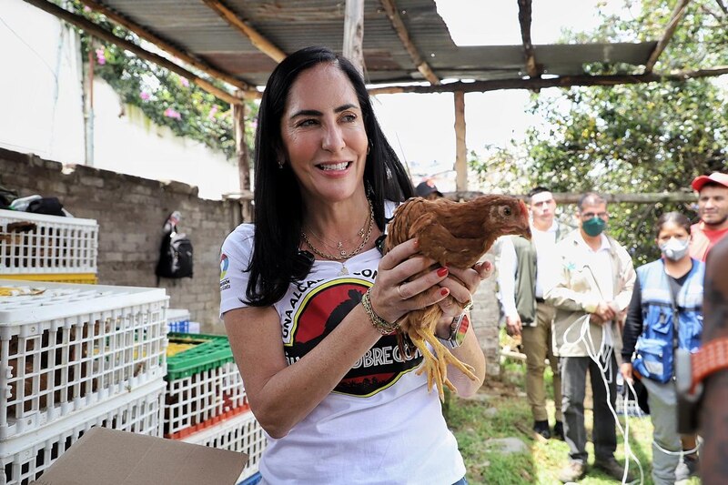 Entrega de pollos a familias de escasos recursos