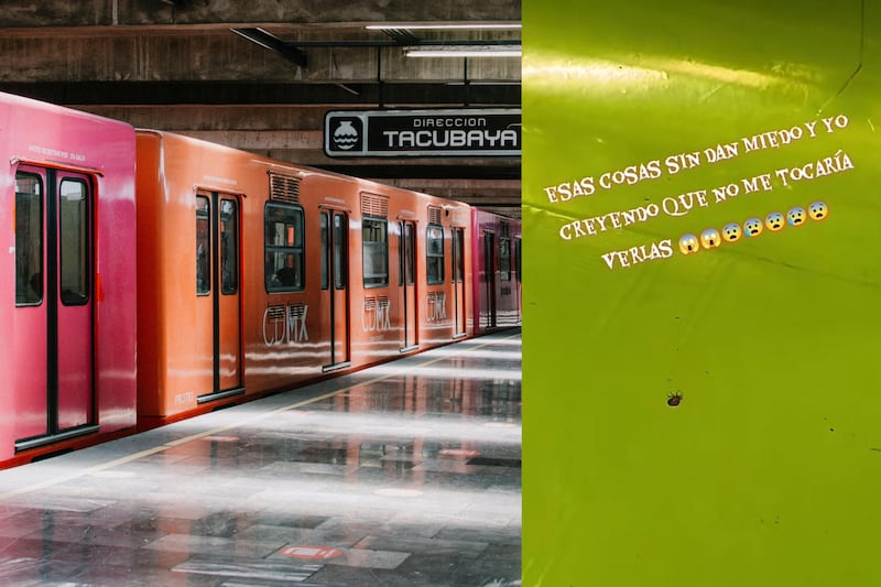 Chinches en el Metro de la CDMX