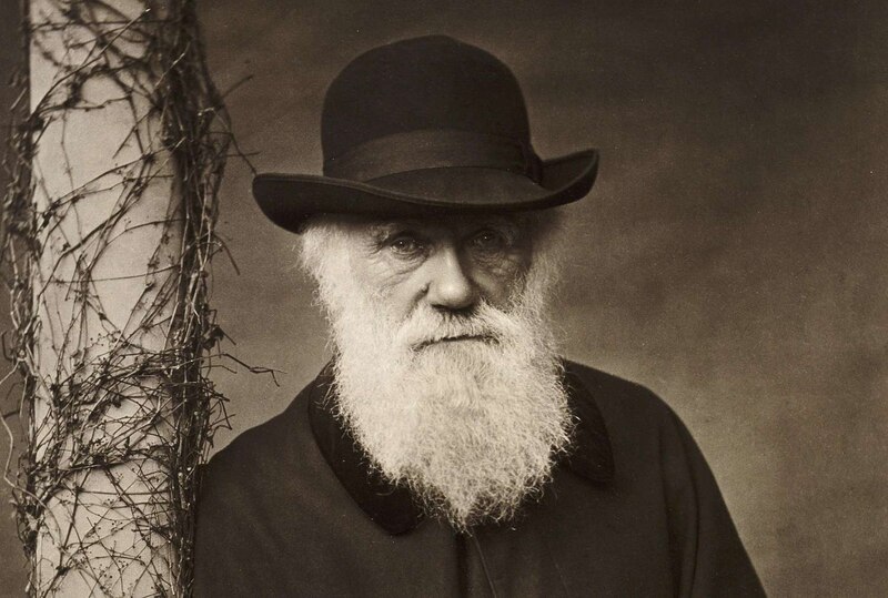 Charles Darwin, el padre de la evolución