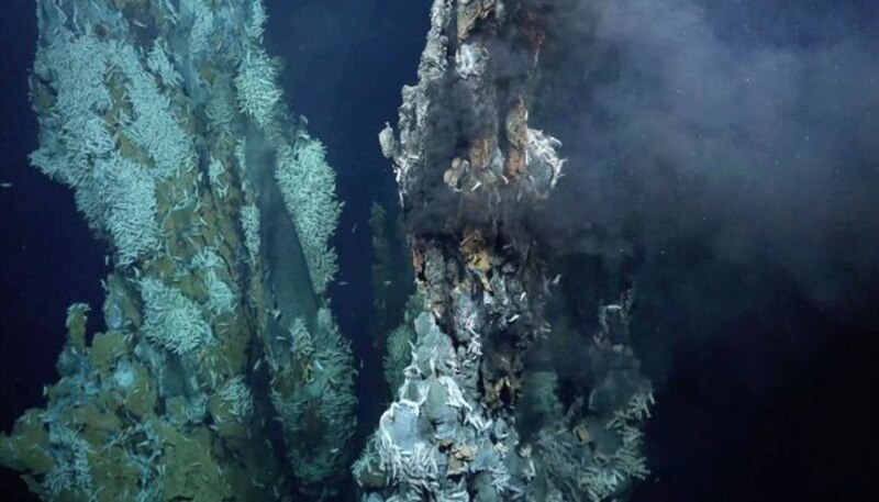 Imagen de una chimenea hidrotermal en el fondo marino.