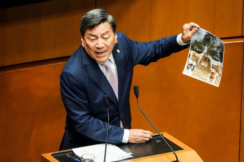 El senador morenista Óscar Cantón Zetina sostiene una foto de sus animales de compañía durante la sesión en la que se aprobó de Reforma en materia de Bienestar Animal por unanimidad.