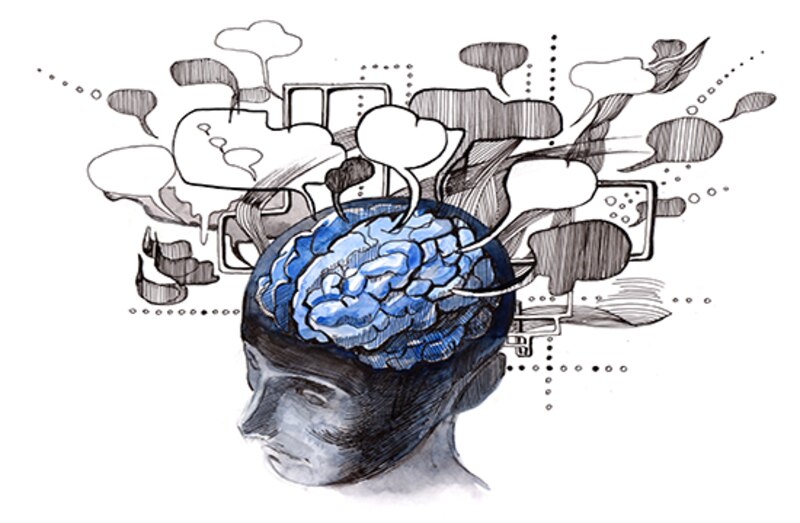 El cerebro humano