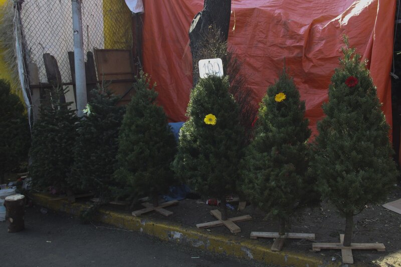 Árboles de Navidad en venta