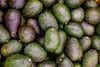 Aguacateros mexicanos piden a EU reactivar las exportaciones tras alerta de seguridad