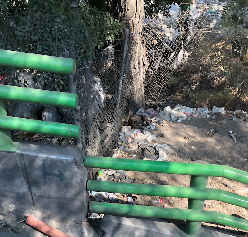 Perro callejero en busca de comida entre la basura