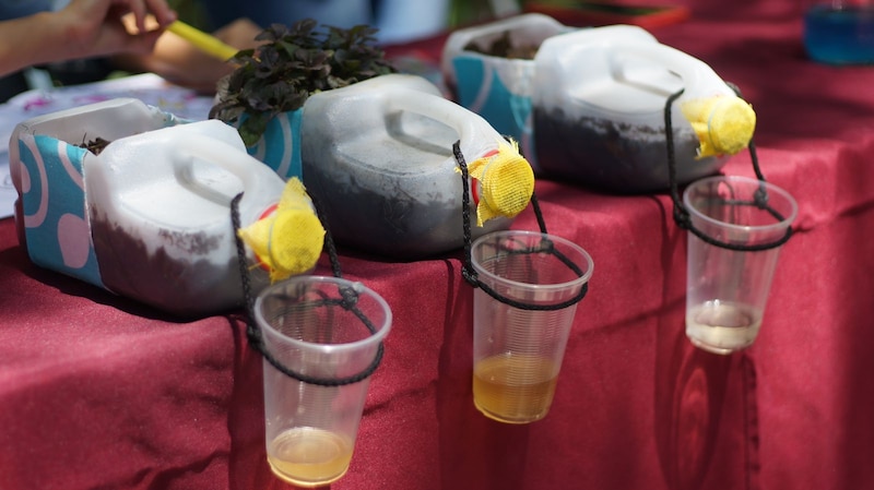 Cómo hacer una trampa para mosquitos con botellas de plástico