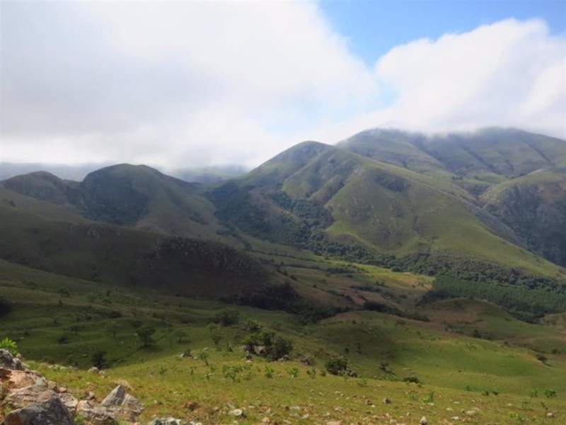 Montañas verdes con niebla