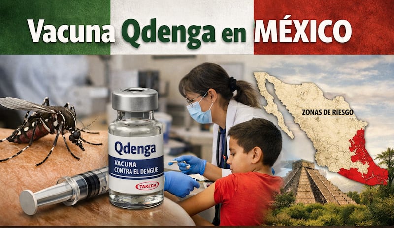 dengue-méxico-2026