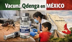 Expertos piden al gobierno incorporar la vacuna contra el dengue ante el riesgo alto de epidemia en México