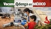 Expertos piden al gobierno incorporar la vacuna contra el dengue ante el riesgo alto de epidemia en México 