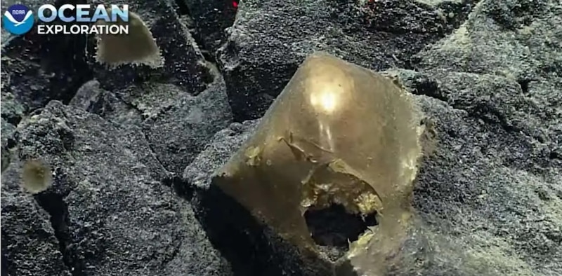 Descubren en el fondo marino un misterioso tesoro pirata