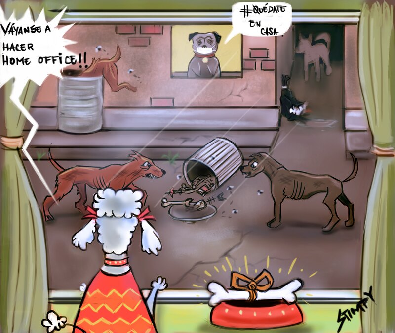 Los perros se quedan en casa