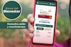 App del Banco del Bienestar: así de fácil la puedes descargar y ver tu pago en línea