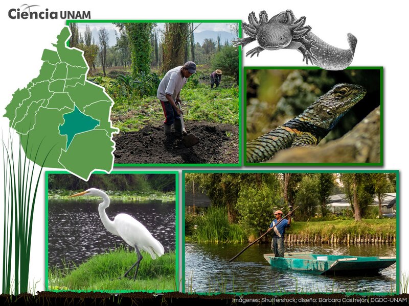 La UNAM en Morelos