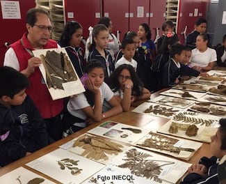 ¿Para qué más ciencia? 