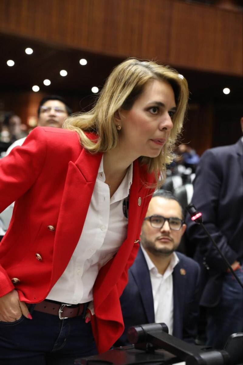 La diputada María Eugenia Hernández durante una sesión en el Congreso de la Ciudad de México